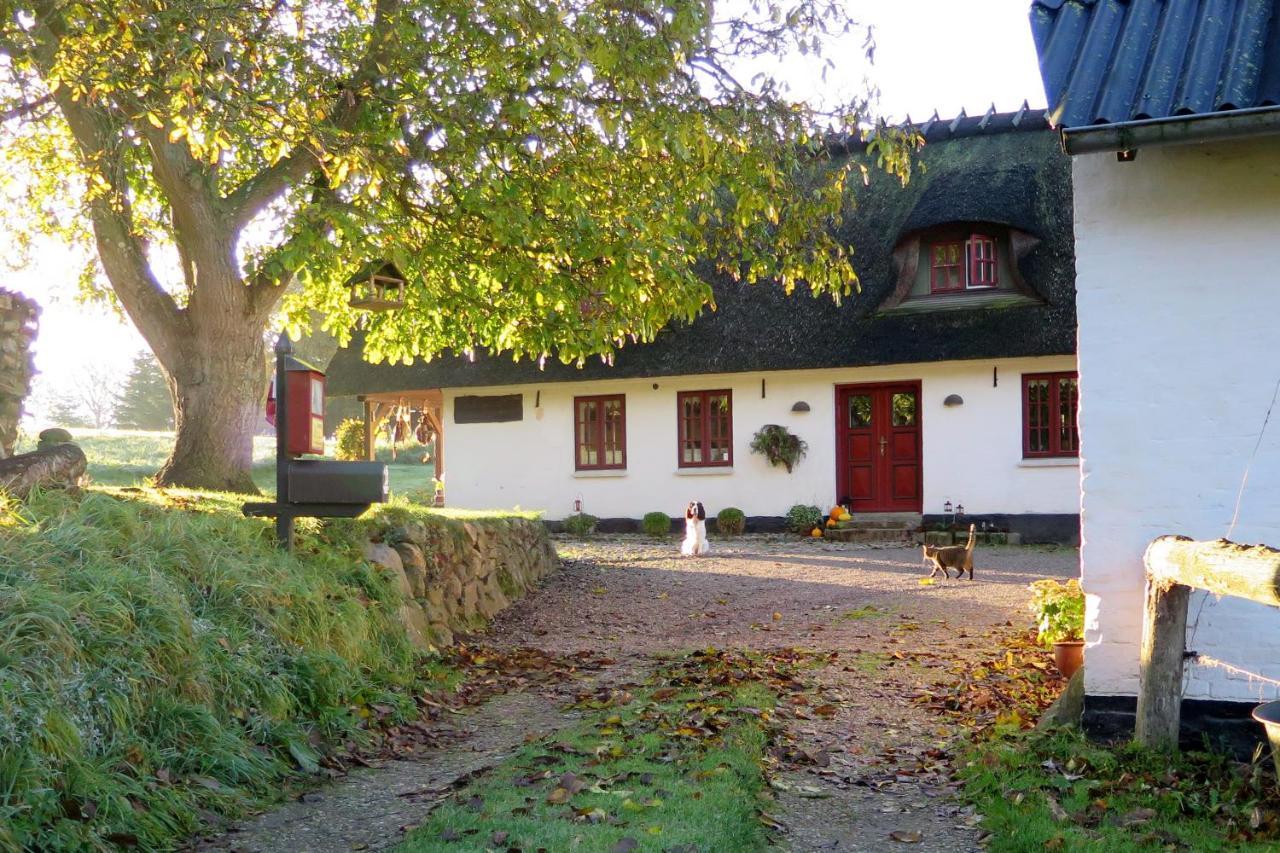 Myrholm Bed and Breakfast Augustenborg Eksteriør billede